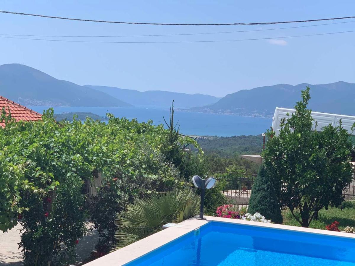 Ostojic Lux Apartman Διαμέρισμα Κότορ Εξωτερικό φωτογραφία